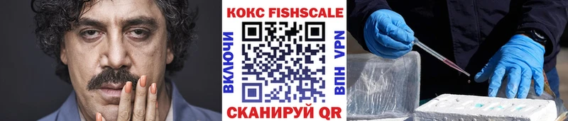 COCAIN Fish Scale  Новая Усмань 