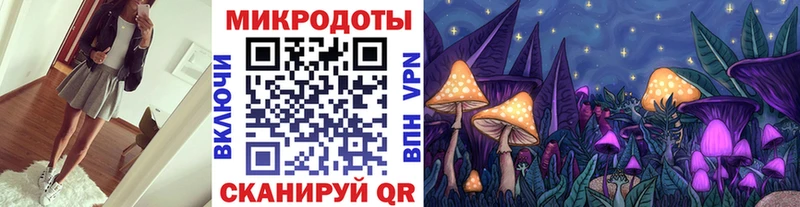 где продают   Новая Усмань  Галлюциногенные грибы Magic Shrooms 